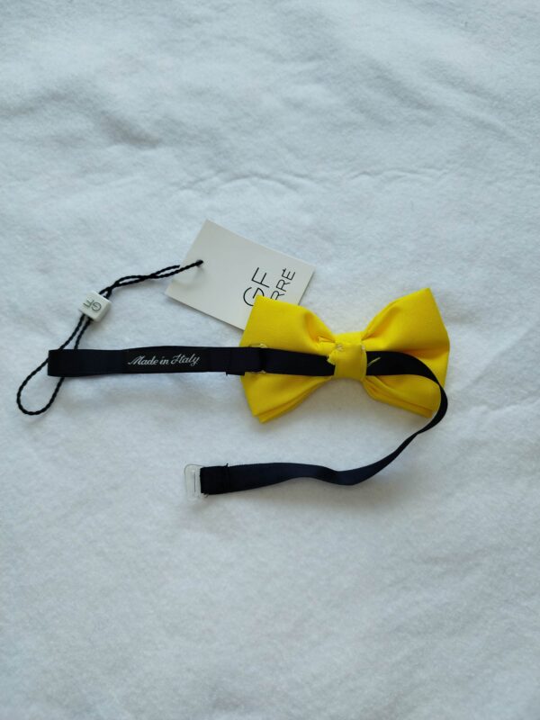Papillon Limone - immagine 2