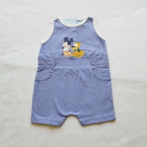 Pagliaccetto Disney